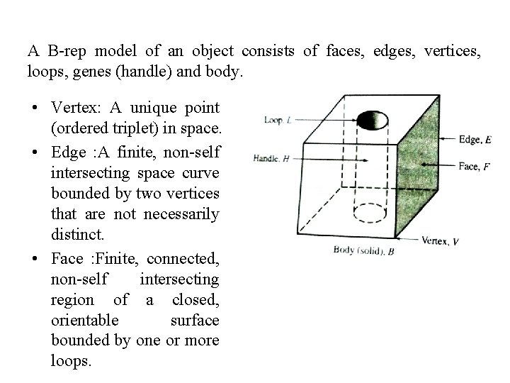 A B-rep model of an object consists of faces, edges, vertices, loops, genes (handle)