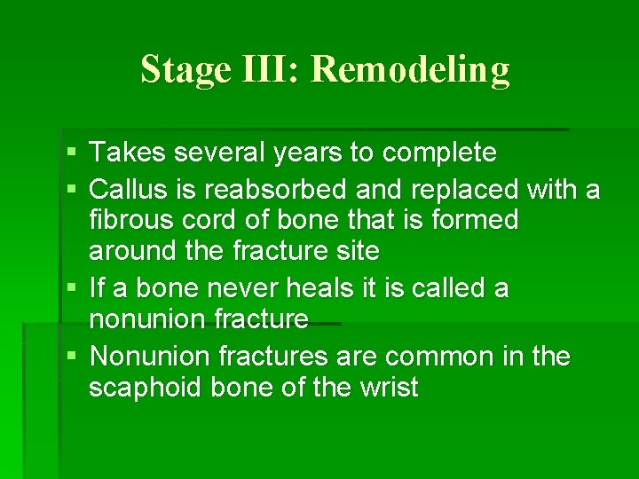 Stage III: Remodeling § Takes several years to complete § Callus is reabsorbed and