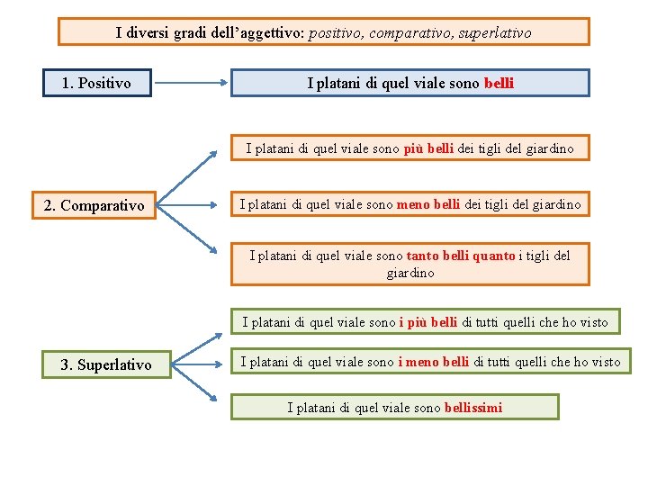 I diversi gradi dell’aggettivo: positivo, comparativo, superlativo 1. Positivo I platani di quel viale