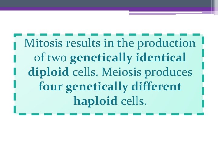 Mitosis results in the production of two genetically identical diploid cells. Meiosis produces four