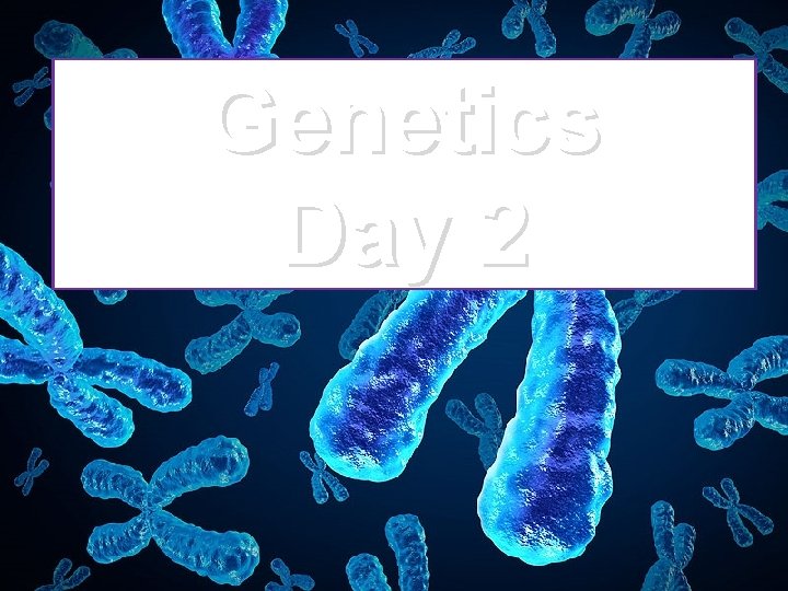 Genetics Day 2 