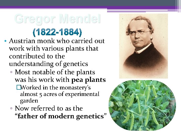 Gregor Mendel • Austrian monk who carried out work with various plants that contributed