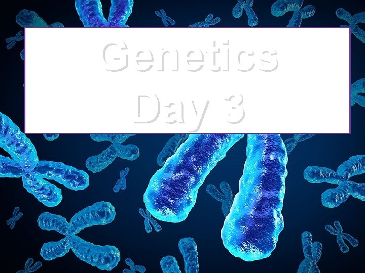 Genetics Day 3 