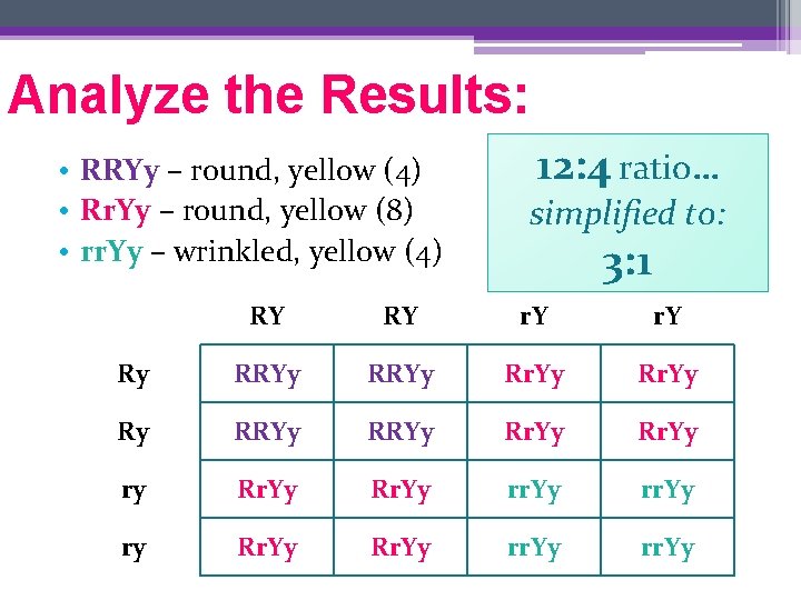 Analyze the Results: • RRYy – round, yellow (4) • Rr. Yy – round,
