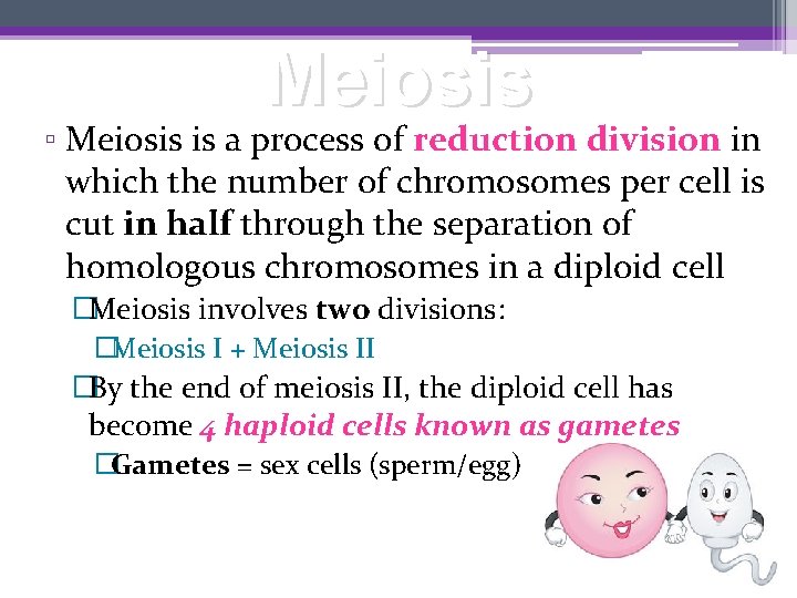 Meiosis ▫ Meiosis is a process of reduction division in which the number of