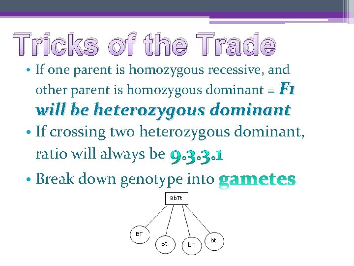 Tricks of the Trade • If one parent is homozygous recessive, and other parent