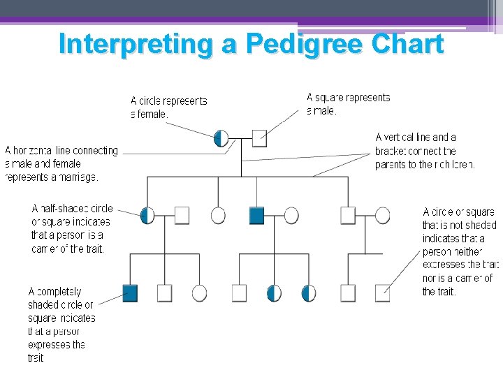 Interpreting a Pedigree Chart 