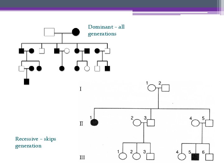 Dominant – all generations Recessive – skips generation 