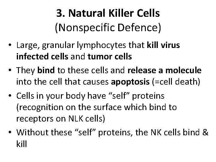 3. Natural Killer Cells (Nonspecific Defence) • Large, granular lymphocytes that kill virus infected