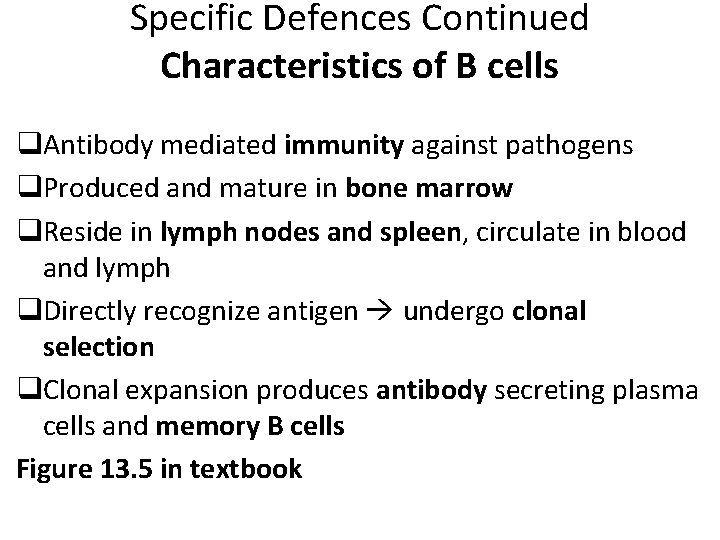 Specific Defences Continued Characteristics of B cells q. Antibody mediated immunity against pathogens q.