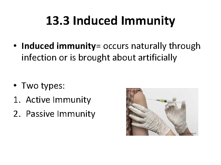 13. 3 Induced Immunity • Induced immunity= occurs naturally through infection or is brought