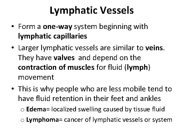 Lymphatic Vessels • Form a one-way system beginning with lymphatic capillaries • Larger lymphatic