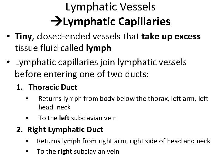 Lymphatic Vessels Lymphatic Capillaries • Tiny, closed-ended vessels that take up excess tissue fluid