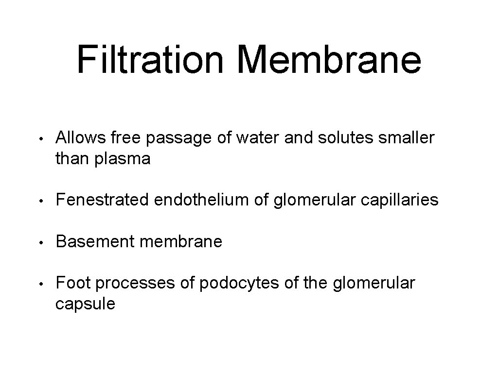 Filtration Membrane • Allows free passage of water and solutes smaller than plasma •