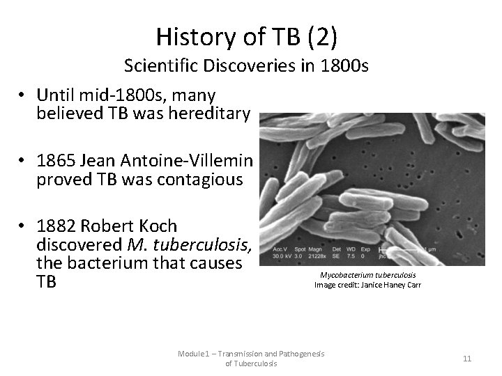 History of TB (2) Scientific Discoveries in 1800 s • Until mid-1800 s, many