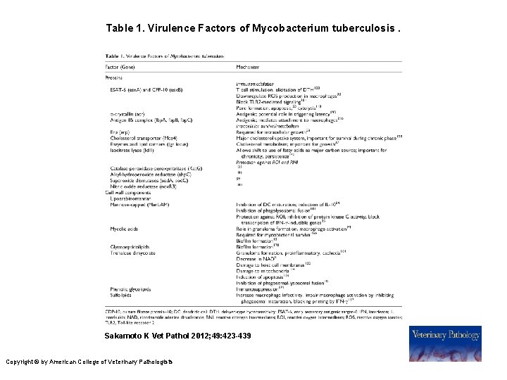 Table 1. Virulence Factors of Mycobacterium tuberculosis. Sakamoto K Vet Pathol 2012; 49: 423