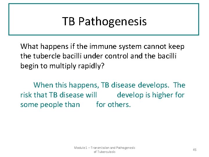 TB Pathogenesis What happens if the immune system cannot keep the tubercle bacilli under