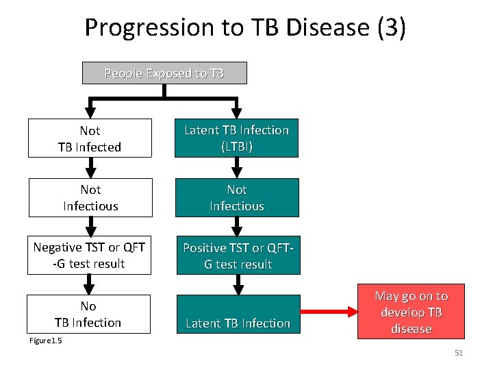 Progression to TB Disease (3) People Exposed to TB Not TB Infected Latent TB