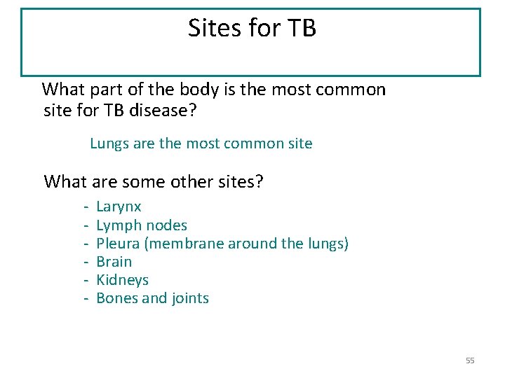 Sites for TB What part of the body is the most common site for