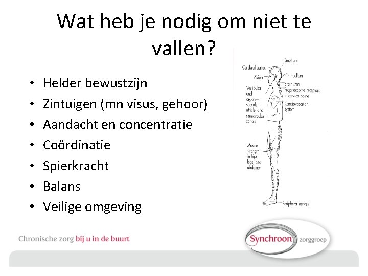 Wat heb je nodig om niet te vallen? • • Helder bewustzijn Zintuigen (mn