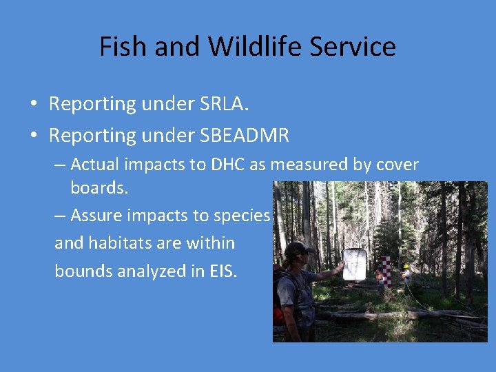 Fish and Wildlife Service • Reporting under SRLA. • Reporting under SBEADMR – Actual