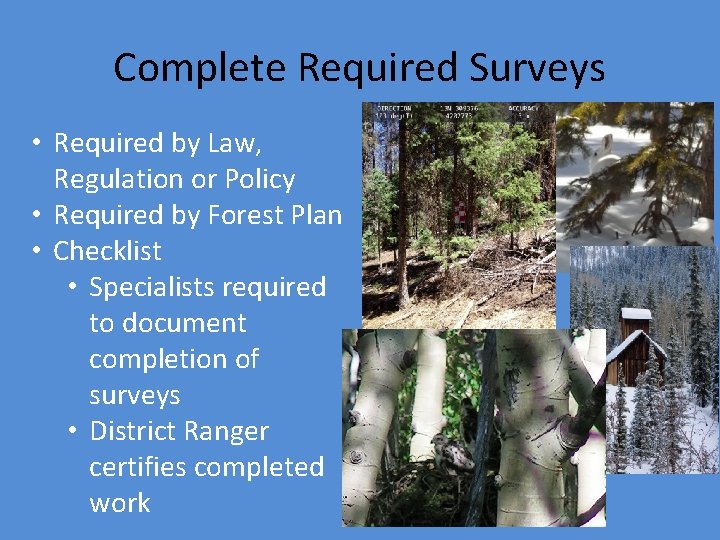 Complete Required Surveys • Required by Law, Regulation or Policy • Required by Forest