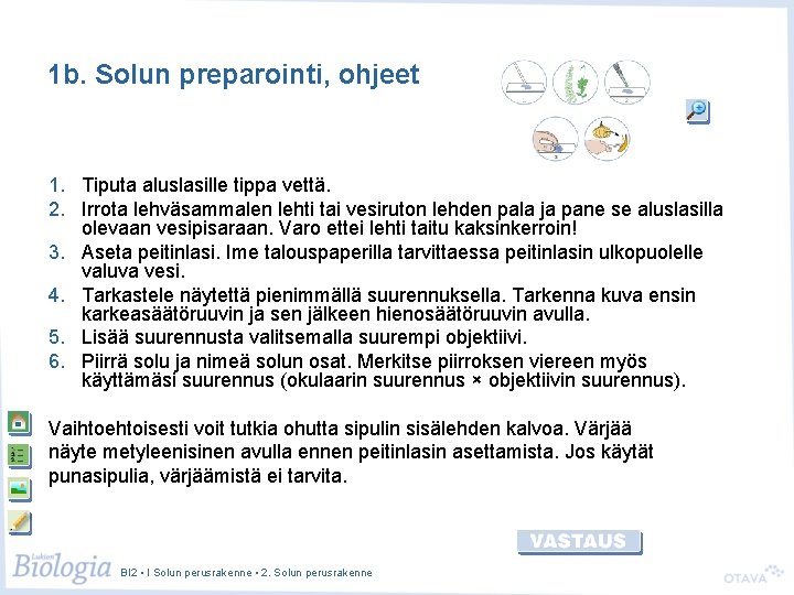 1 b. Solun preparointi, ohjeet 1. Tiputa aluslasille tippa vettä. 2. Irrota lehväsammalen lehti