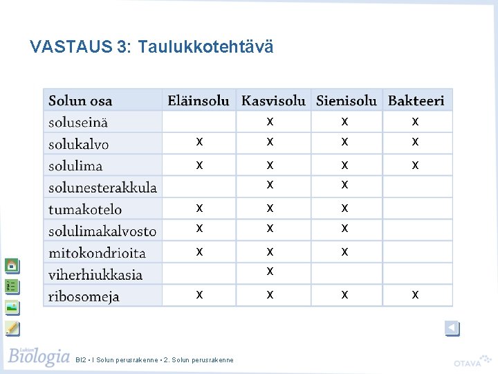 VASTAUS 3: Taulukkotehtävä x x x x x x x BI 2 • I