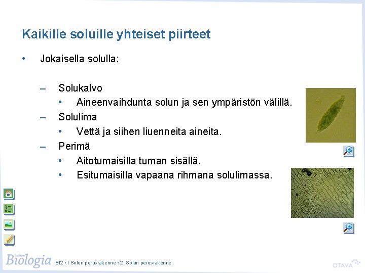 Kaikille soluille yhteiset piirteet • Jokaisella solulla: – – – Solukalvo • Aineenvaihdunta solun
