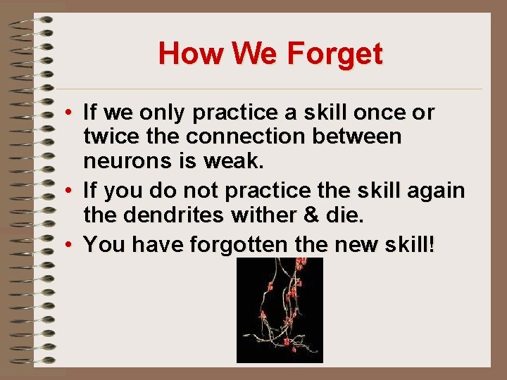 How We Forget • If we only practice a skill once or twice the