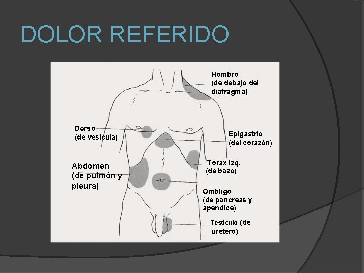 DOLOR REFERIDO Hombro (de debajo del diafragma) Dorso (de vesícula) Abdomen (de pulmón y