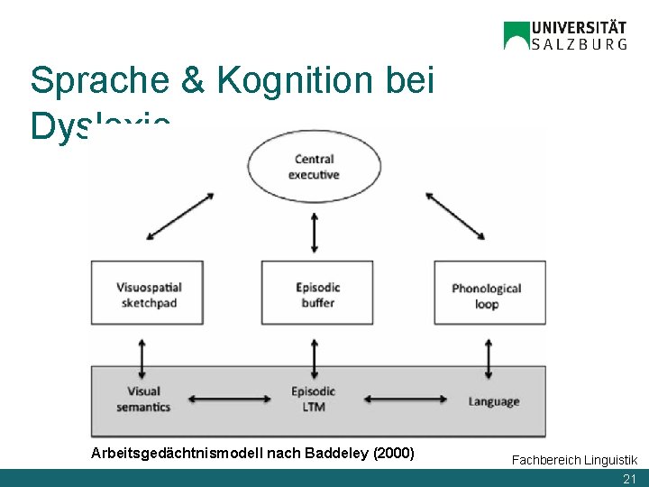 Sprache & Kognition bei Dyslexie Arbeitsgedächtnismodell nach Baddeley (2000) Fachbereich Linguistik 21 