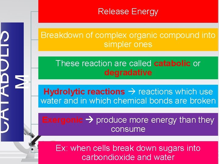 CATABOLIS M Release Energy Breakdown of complex organic compound into simpler ones These reaction