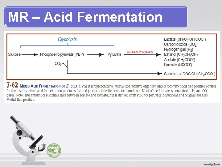 MR – Acid Fermentation 