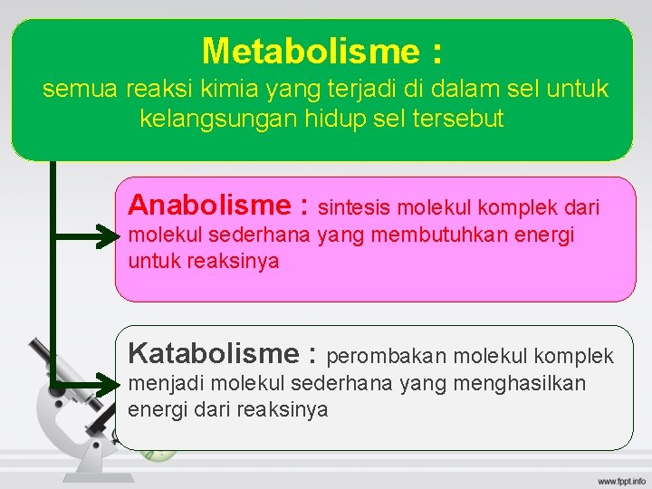 Metabolisme : semua reaksi kimia yang terjadi di dalam sel untuk kelangsungan hidup sel