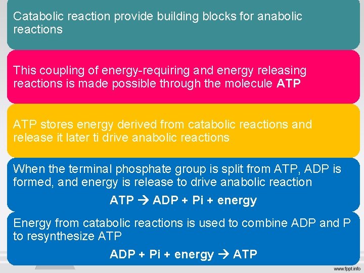 Catabolic reaction provide building blocks for anabolic reactions This coupling of energy-requiring and energy