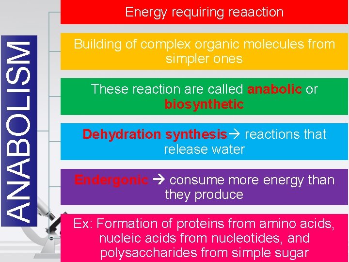 ANABOLISM Energy requiring reaaction Building of complex organic molecules from simpler ones These reaction