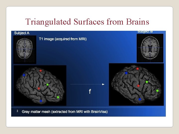 Triangulated Surfaces from Brains 