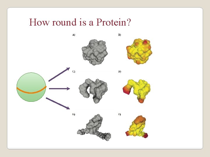 How round is a Protein? 