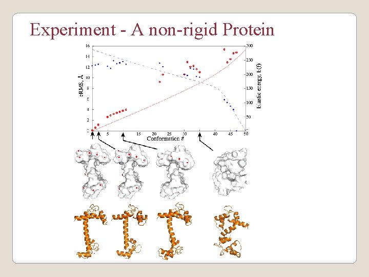 Experiment - A non-rigid Protein 