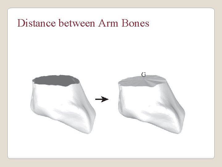 Distance between Arm Bones 