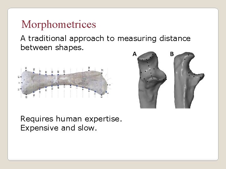 Morphometrices A traditional approach to measuring distance between shapes. Requires human expertise. Expensive and