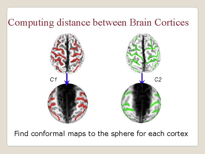 Computing distance between Brain Cortices Find conformal maps to the sphere for each cortex