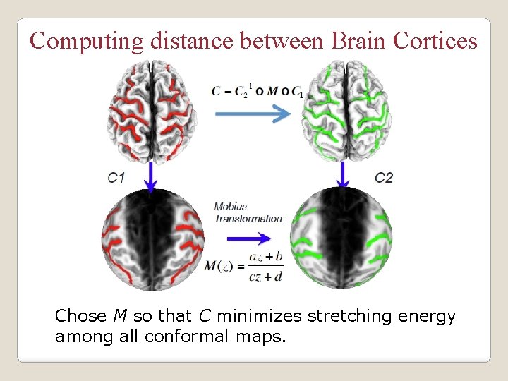 Computing distance between Brain Cortices Chose M so that C minimizes stretching energy among