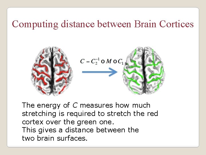 Computing distance between Brain Cortices The energy of C measures how much stretching is