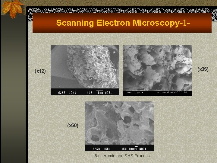 Scanning Electron Microscopy-1 - (x 35) (x 12) (x 50) Bioceramic and SHS Process