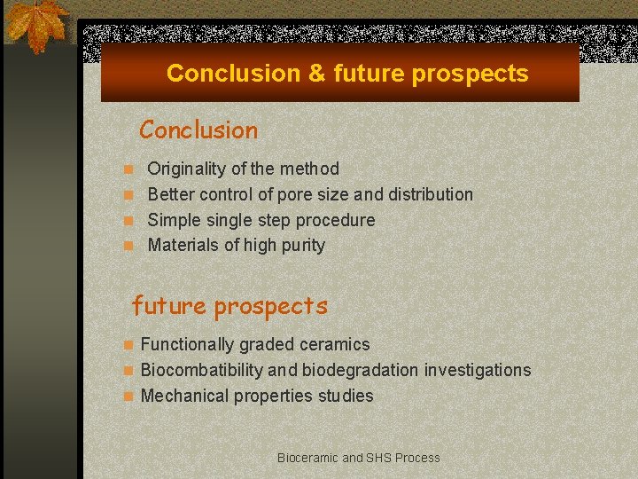 Conclusion & future prospects Conclusion n Originality of the method n Better control of