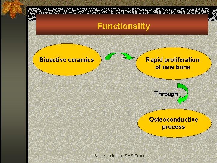 Functionality Bioactive ceramics Rapid proliferation of new bone Through Osteoconductive process Bioceramic and SHS