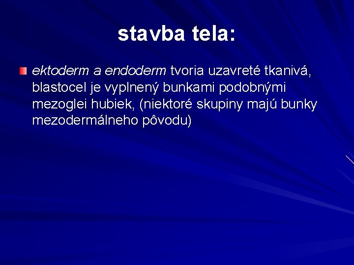 stavba tela: ektoderm a endoderm tvoria uzavreté tkanivá, blastocel je vyplnený bunkami podobnými mezoglei