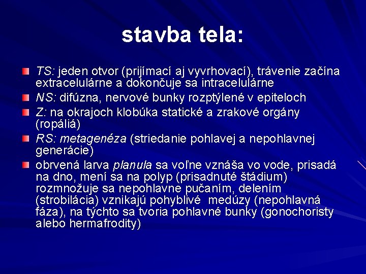 stavba tela: TS: jeden otvor (prijímací aj vyvrhovací), trávenie začína extracelulárne a dokončuje sa